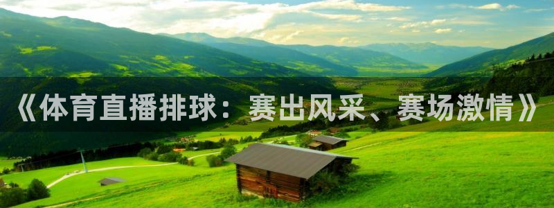 《体育直播排球：赛出风采、赛场激情》