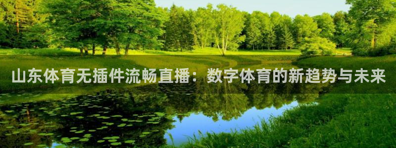 山东体育无插件流畅直播：数字体育的新趋势与未来