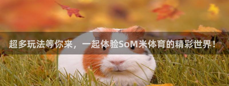 超多玩法等你来，一起体验SoM米体育的精彩世界！