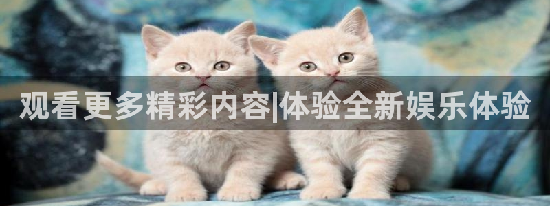 观看更多精彩内容|体验全新娱乐体验