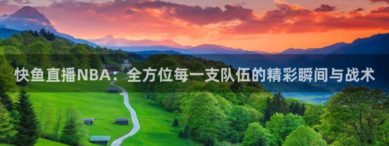 快鱼直播NBA：全方位每一支队伍的精彩瞬间与战术